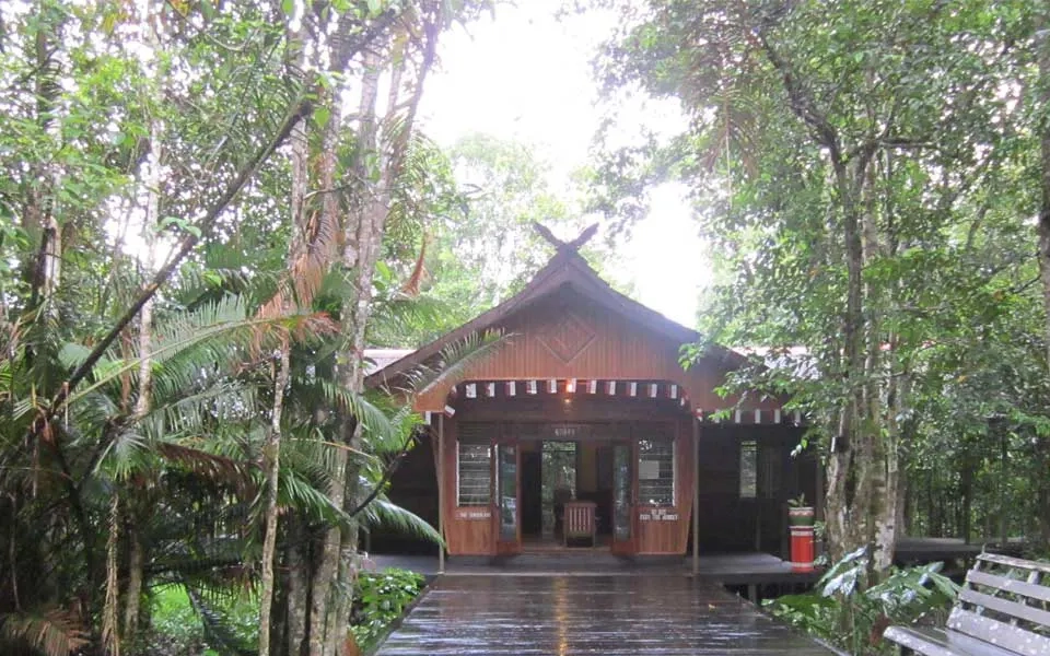 rimba-lodge